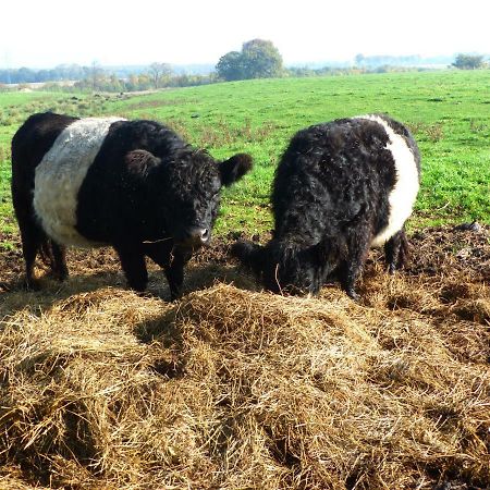 Kristiansminde Farm Holiday Tistrup エクステリア 写真
