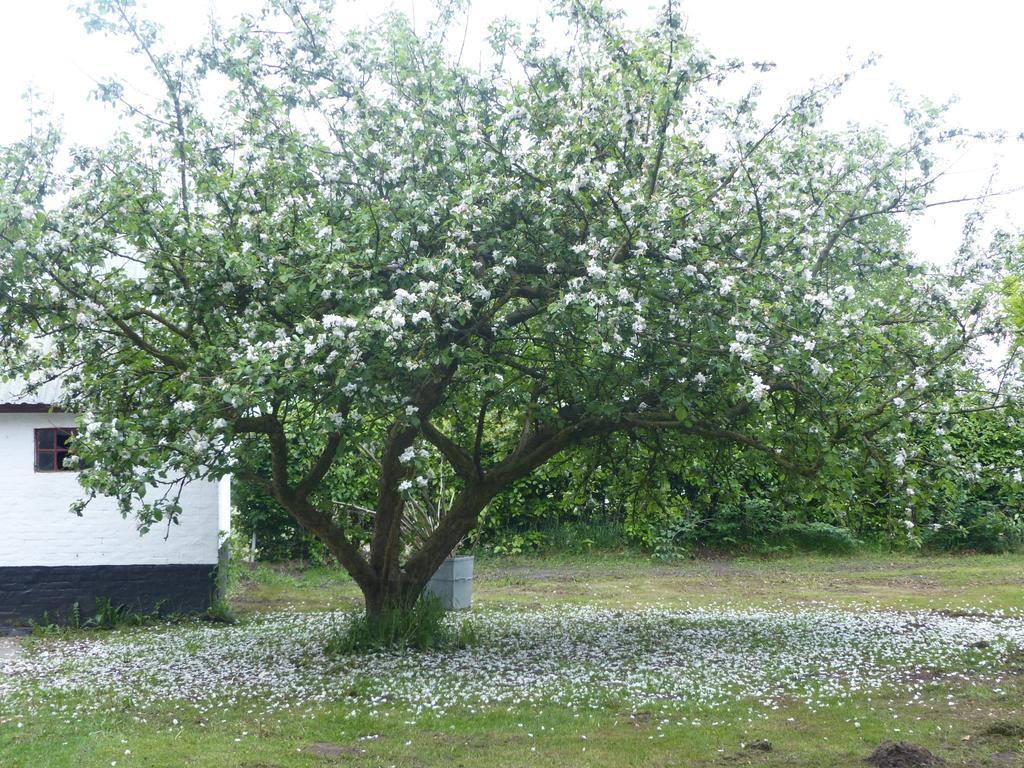 Kristiansminde Farm Holiday Tistrup エクステリア 写真